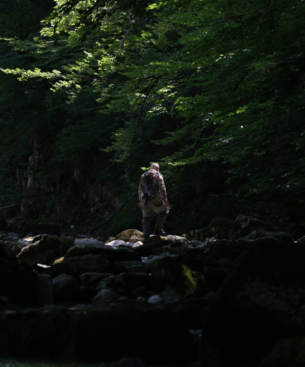 Back to Salzkammergut
