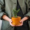 Le Laboureur - Olive tergal jacket