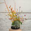 05 tokyo tools ikebana essentials bundle black